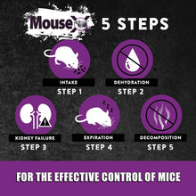 MouseX 1lb Bag, All-Natural Poison Free Humane Rat and Mouse - EcoClear Products