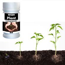 Quick Rooting Powder Fast Plant Flower Rooting Powder Quick Growth Transplant Fertilizer for Improve Flowering Cutting Survival