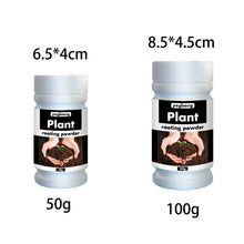 Quick Rooting Powder Fast Plant Flower Rooting Powder Quick Growth Transplant Fertilizer for Improve Flowering Cutting Survival